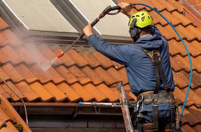 Démoussage et hydrofuge de toiture à Chapois